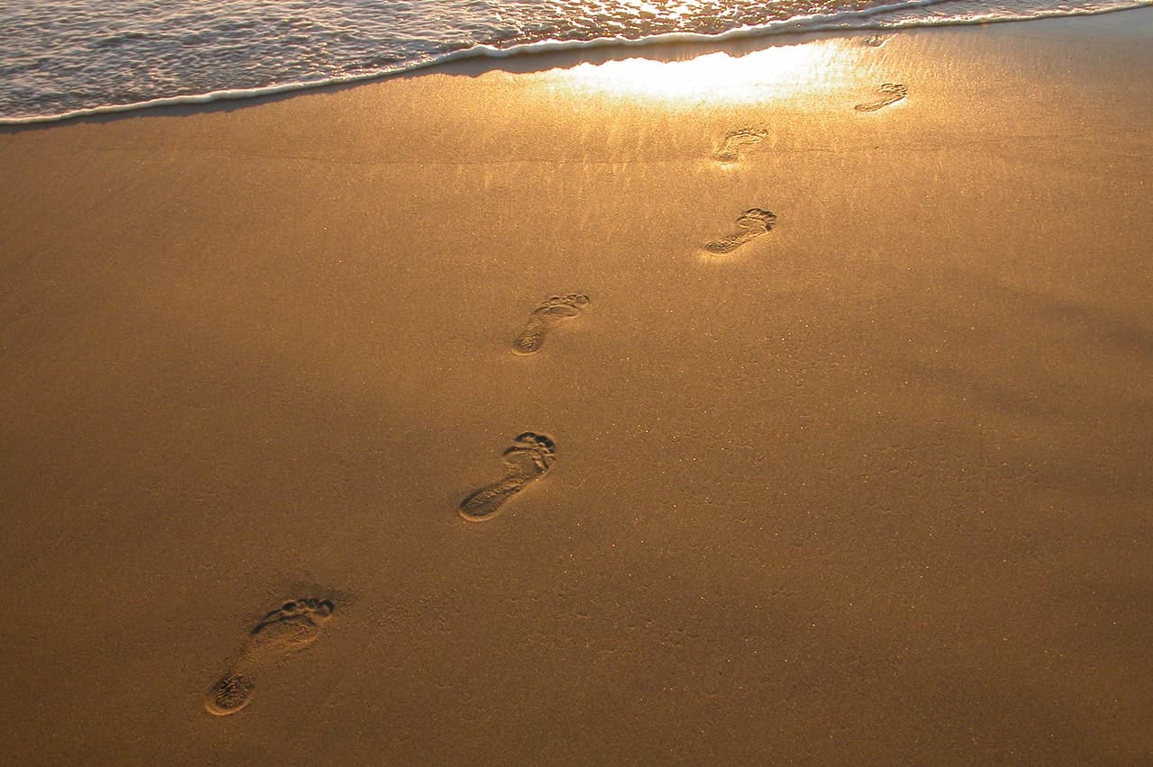 Sweatcoin : Notre avis sur l’application de compteur de pas